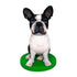 Fully Custom Dog Bobblehead From Photo